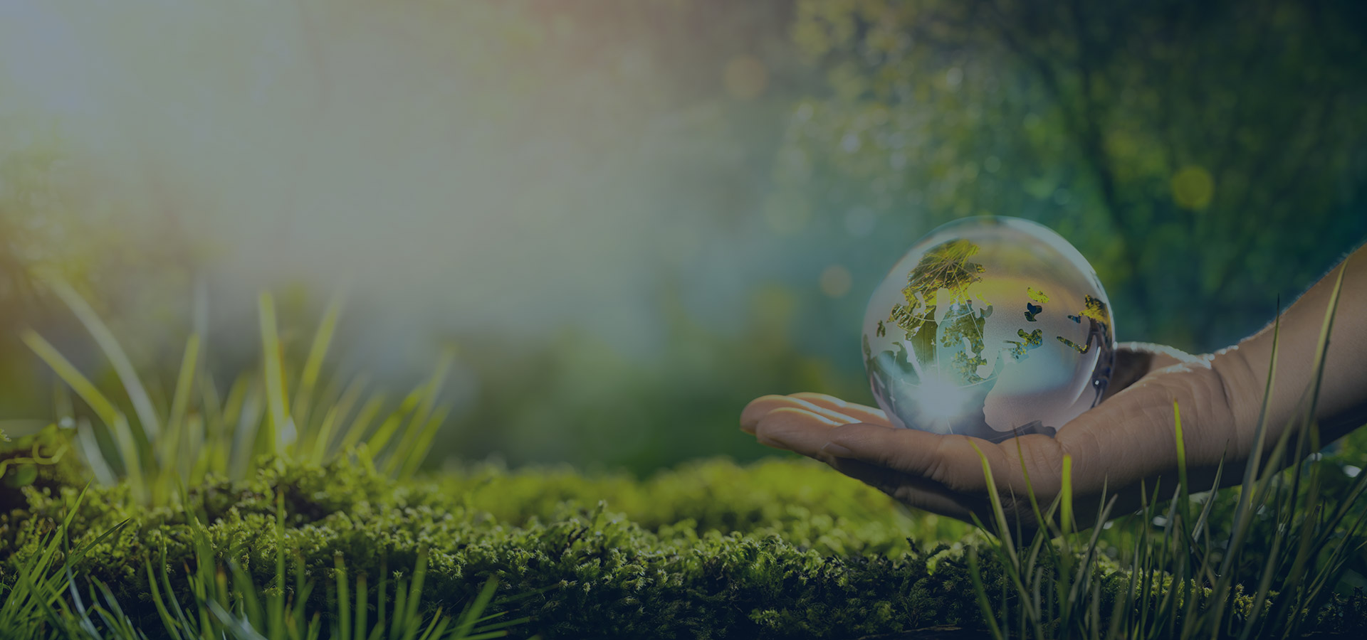 person holding earth glass orb in lush surroundings