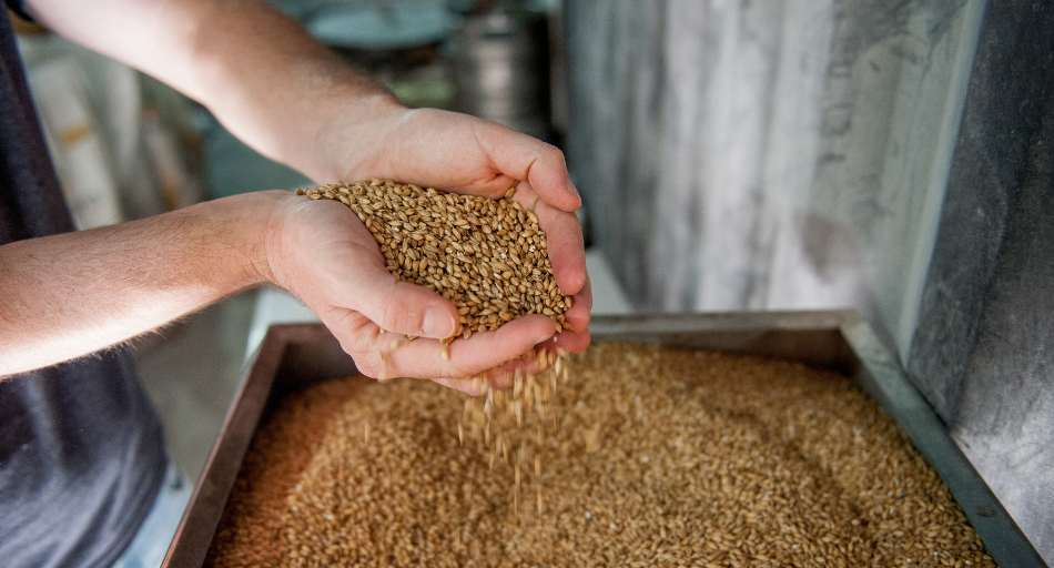 hands and grains