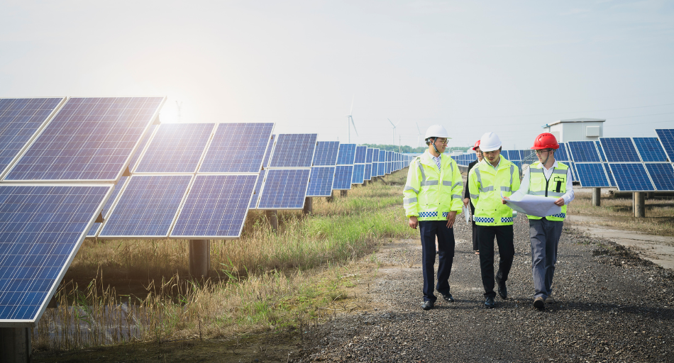 Engineers walking through solar energy farm