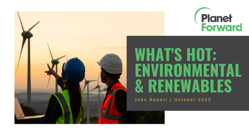 2 engineers looking at on-shore wind farm at sunrise