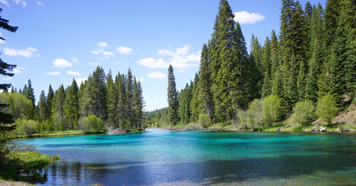 outdoors in the Pacific Northwest, blue waters, evergreen trees, blue cloud-dotted skies